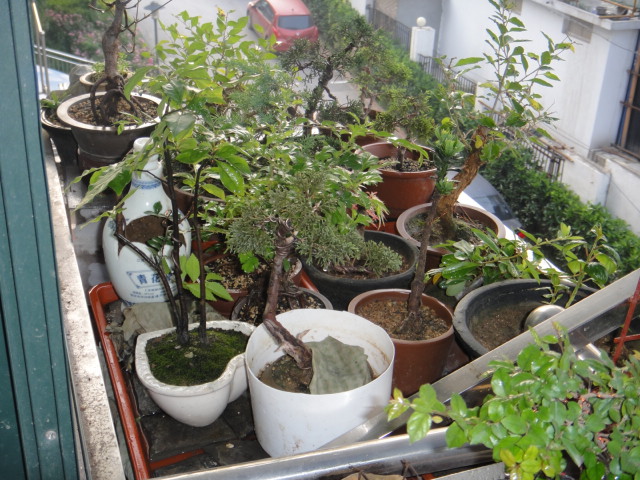 DSC01347.JPG