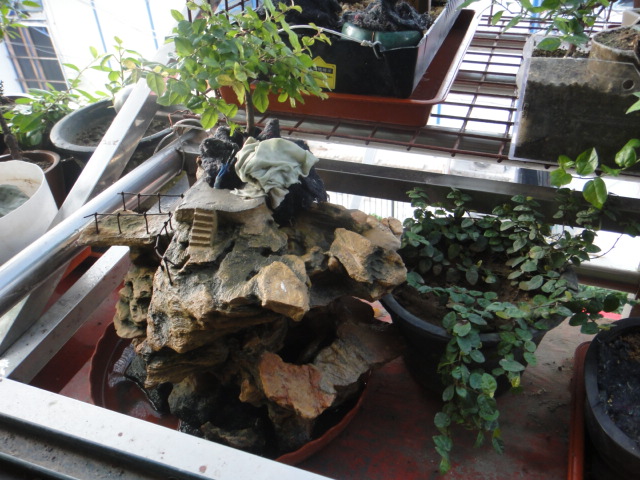 DSC01356.JPG
