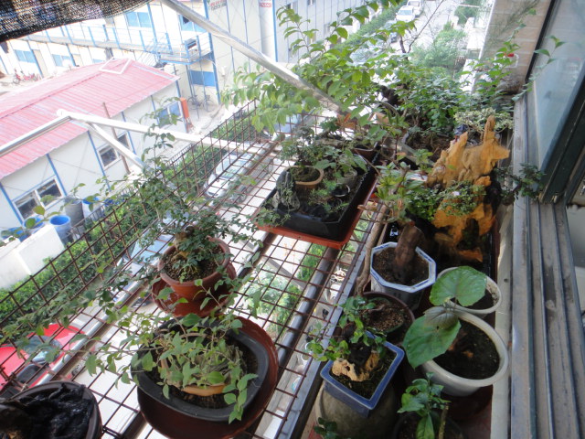 DSC01362.JPG