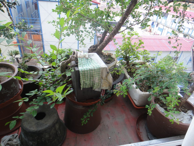 DSC01363.JPG