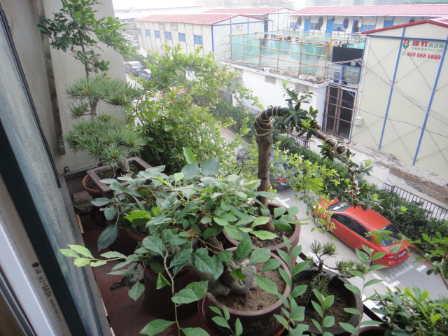 DSC01364.JPG