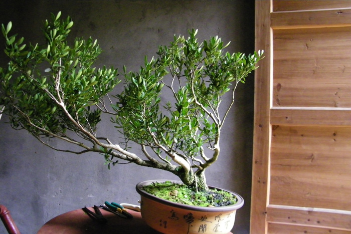 100_1793.jpg