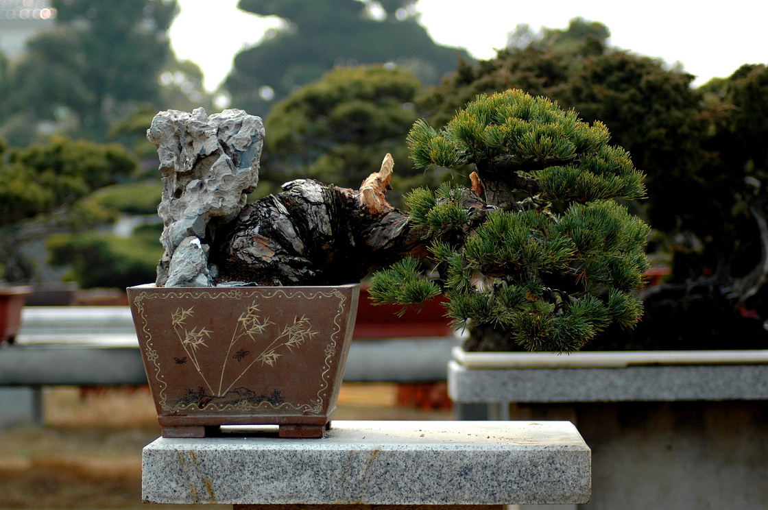 DSC_3438__С.jpg
