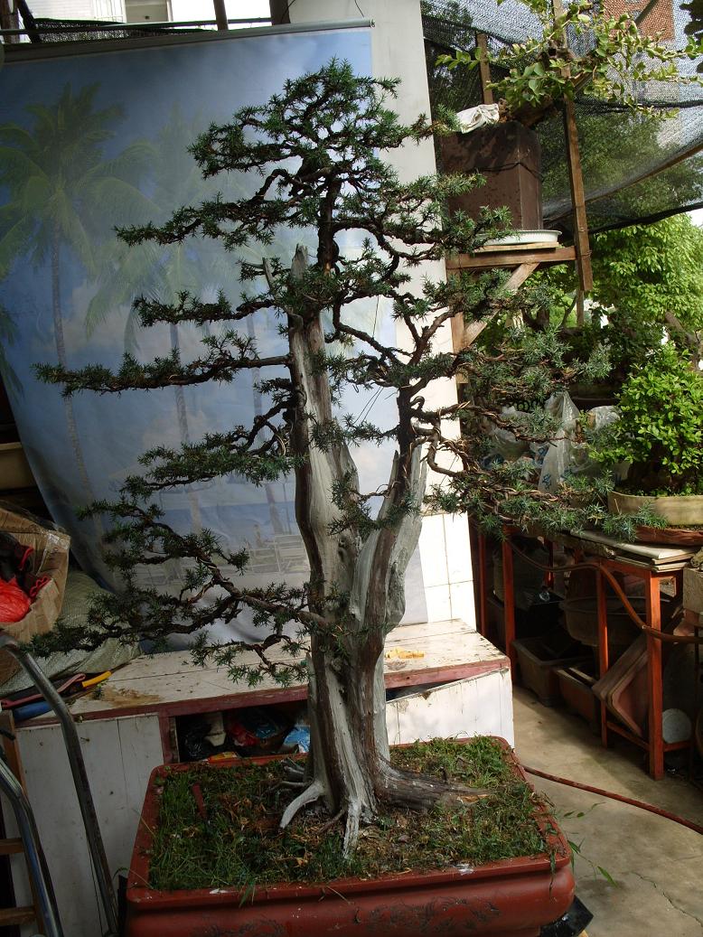 S1051144.JPG