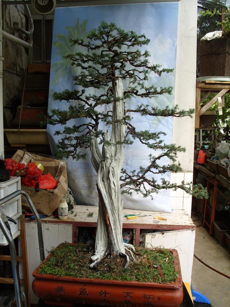S1051139.JPG
