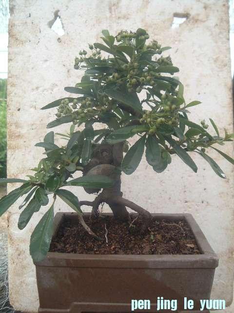 DSCF0802.JPG
