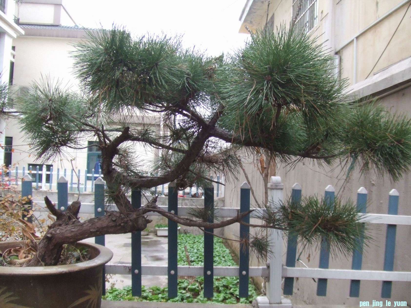 С DSCF8408.JPG