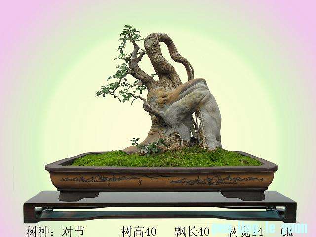  󵹸Խڶ.jpg