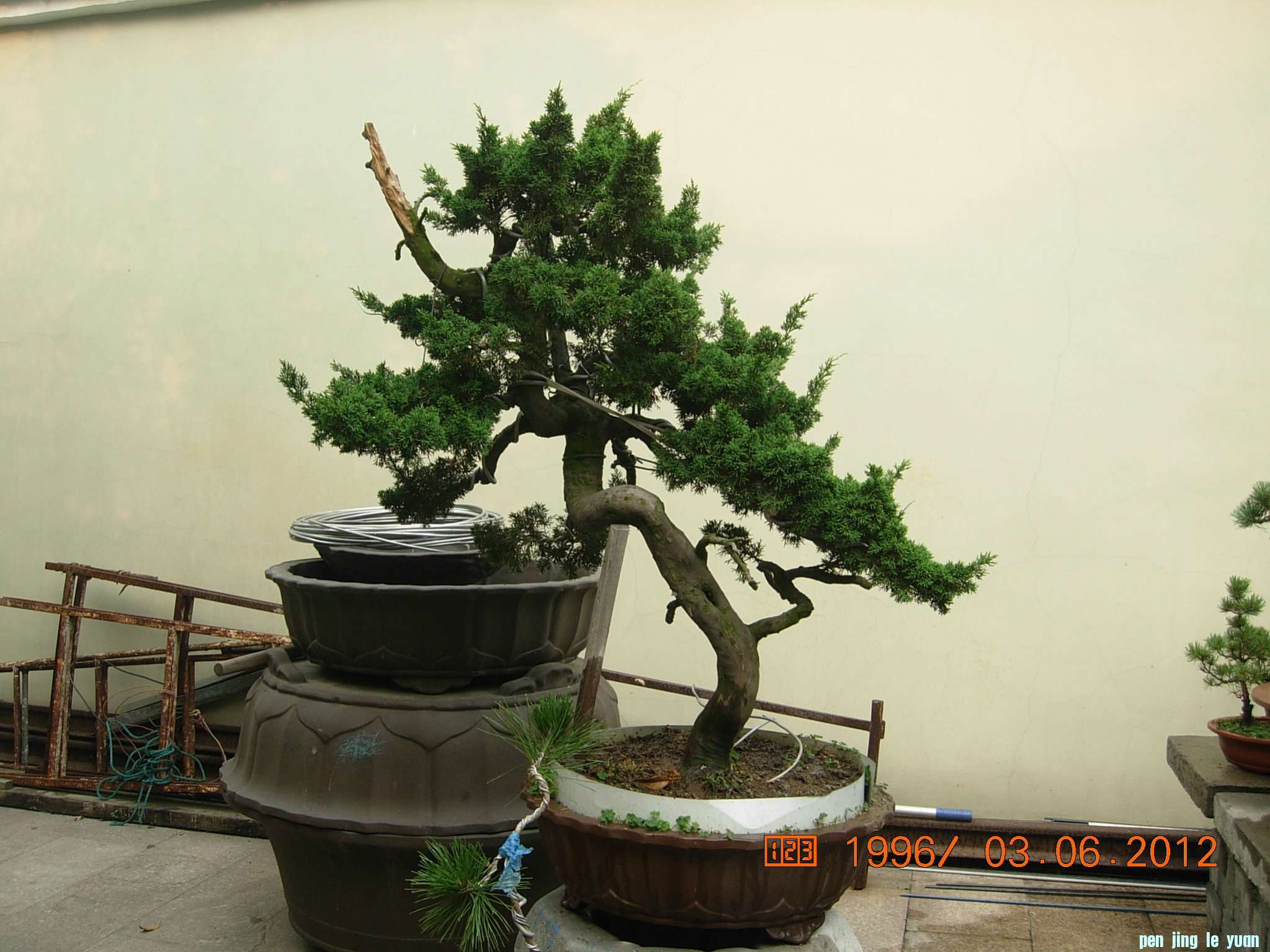 DSCN6159.JPG