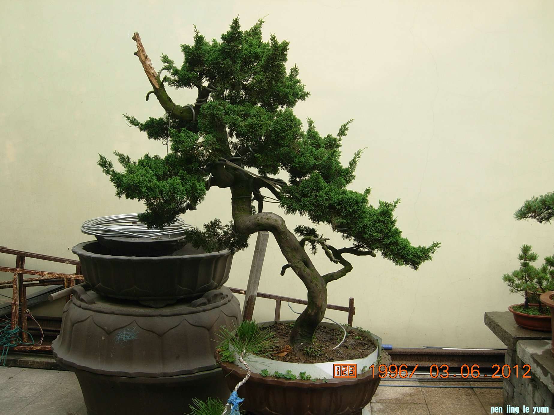 DSCN6160.JPG