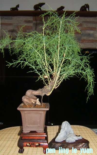 DSCF4112.JPG