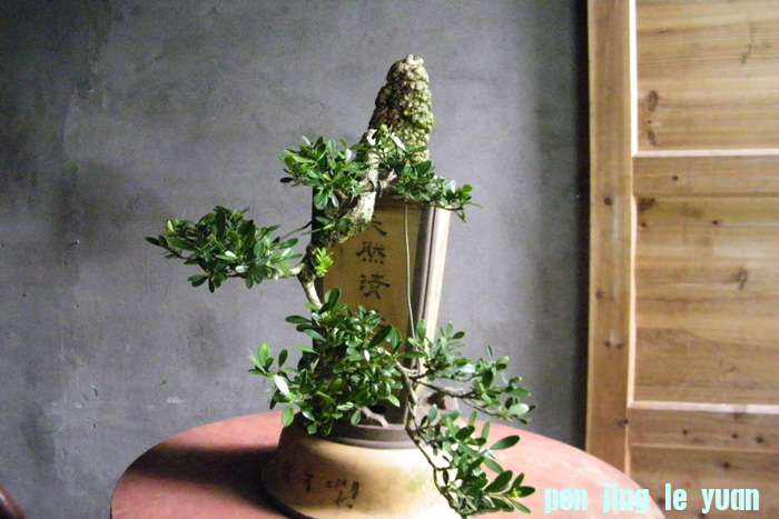 100_1810.jpg