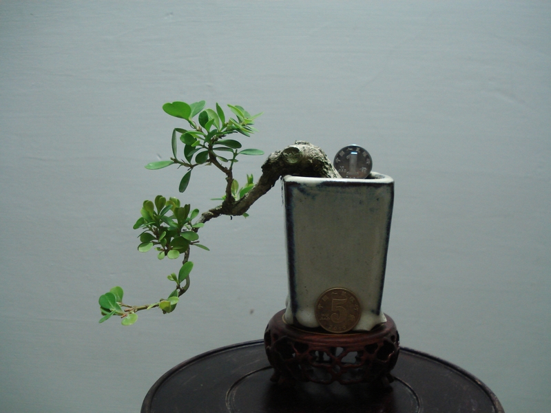 DSC06345.JPG