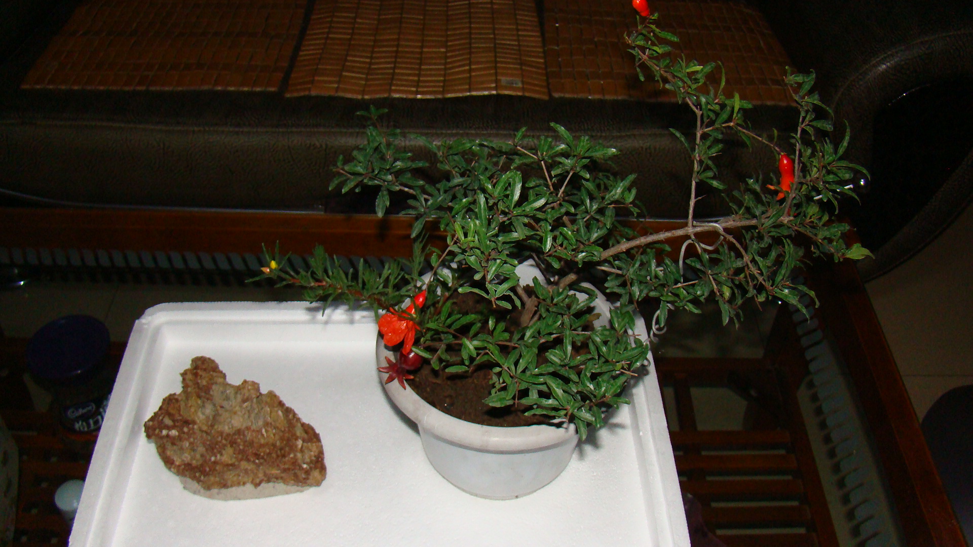 DSC09507.JPG
