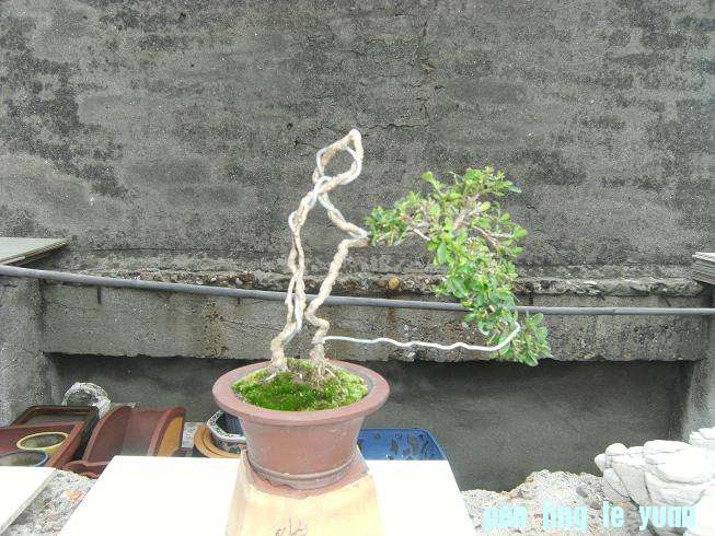 DSCF6528.JPG
