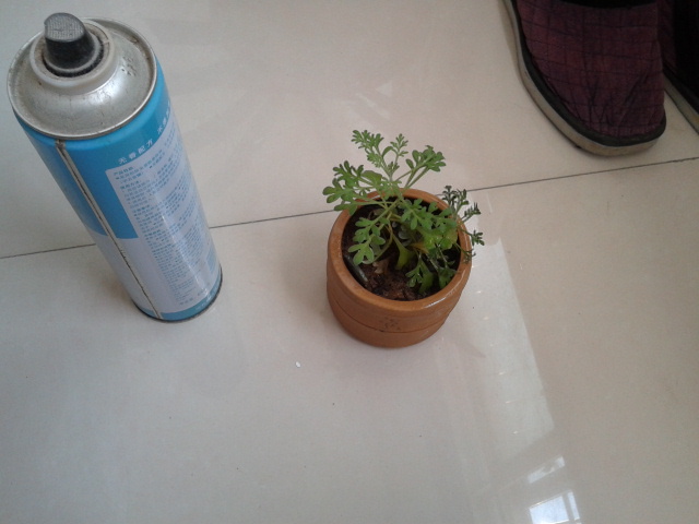 2012-04-07 07.15.16.jpg