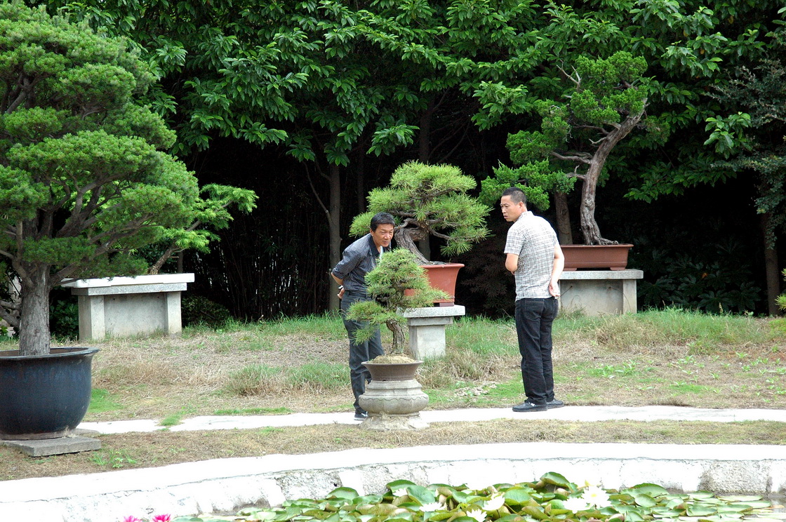 DSC_4477__С.jpg