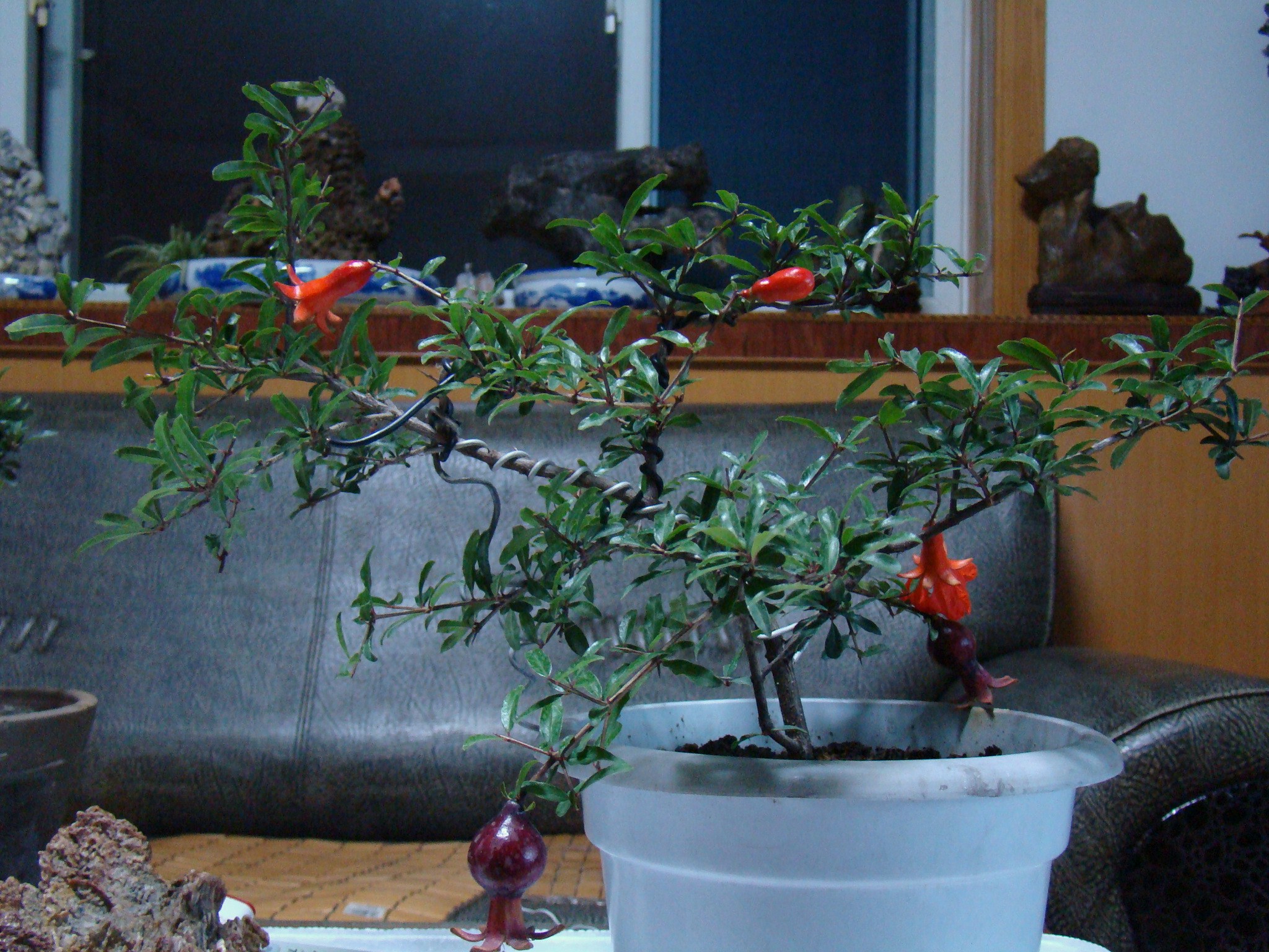 DSC09512.JPG