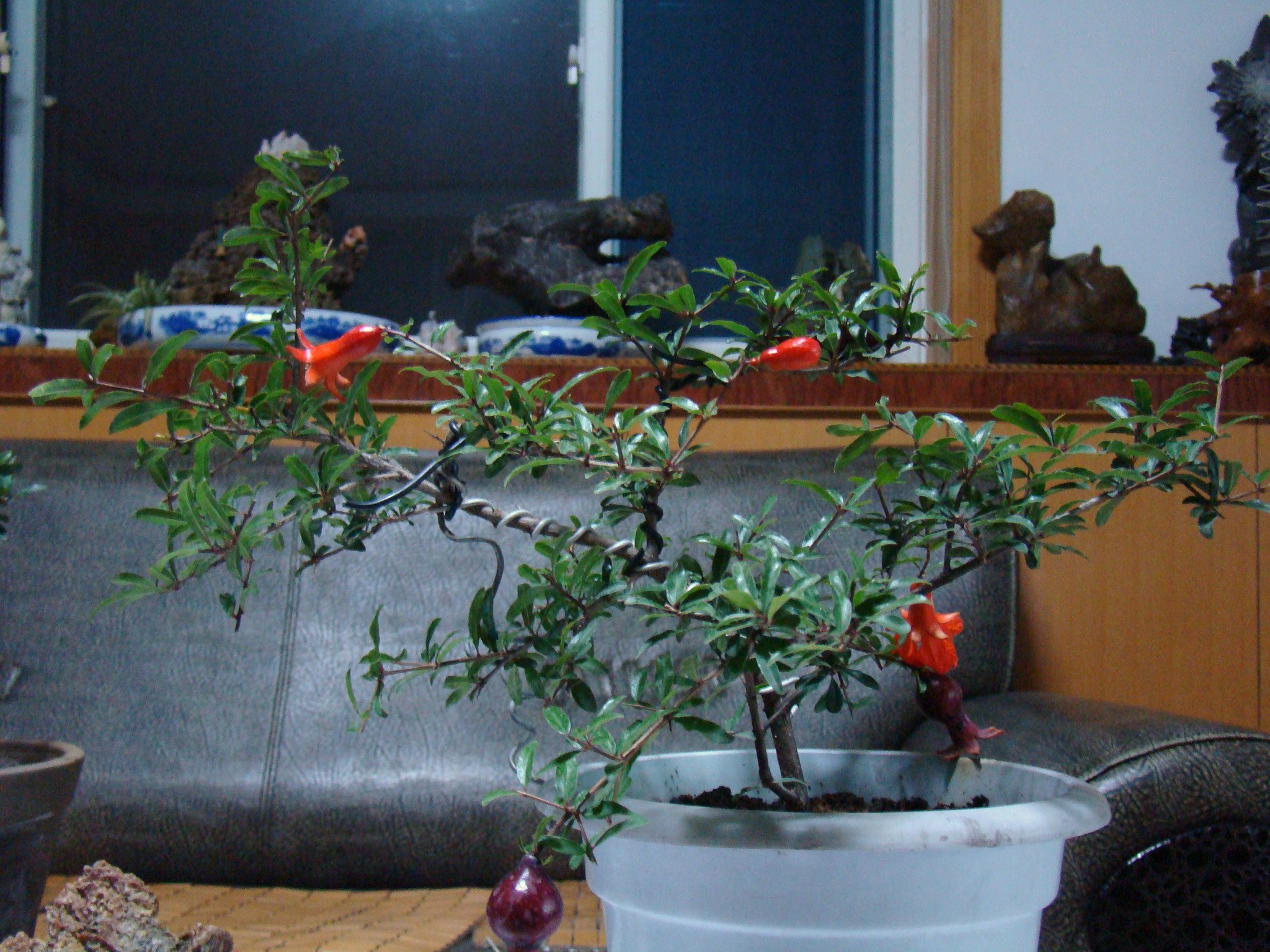 DSC09511.JPG
