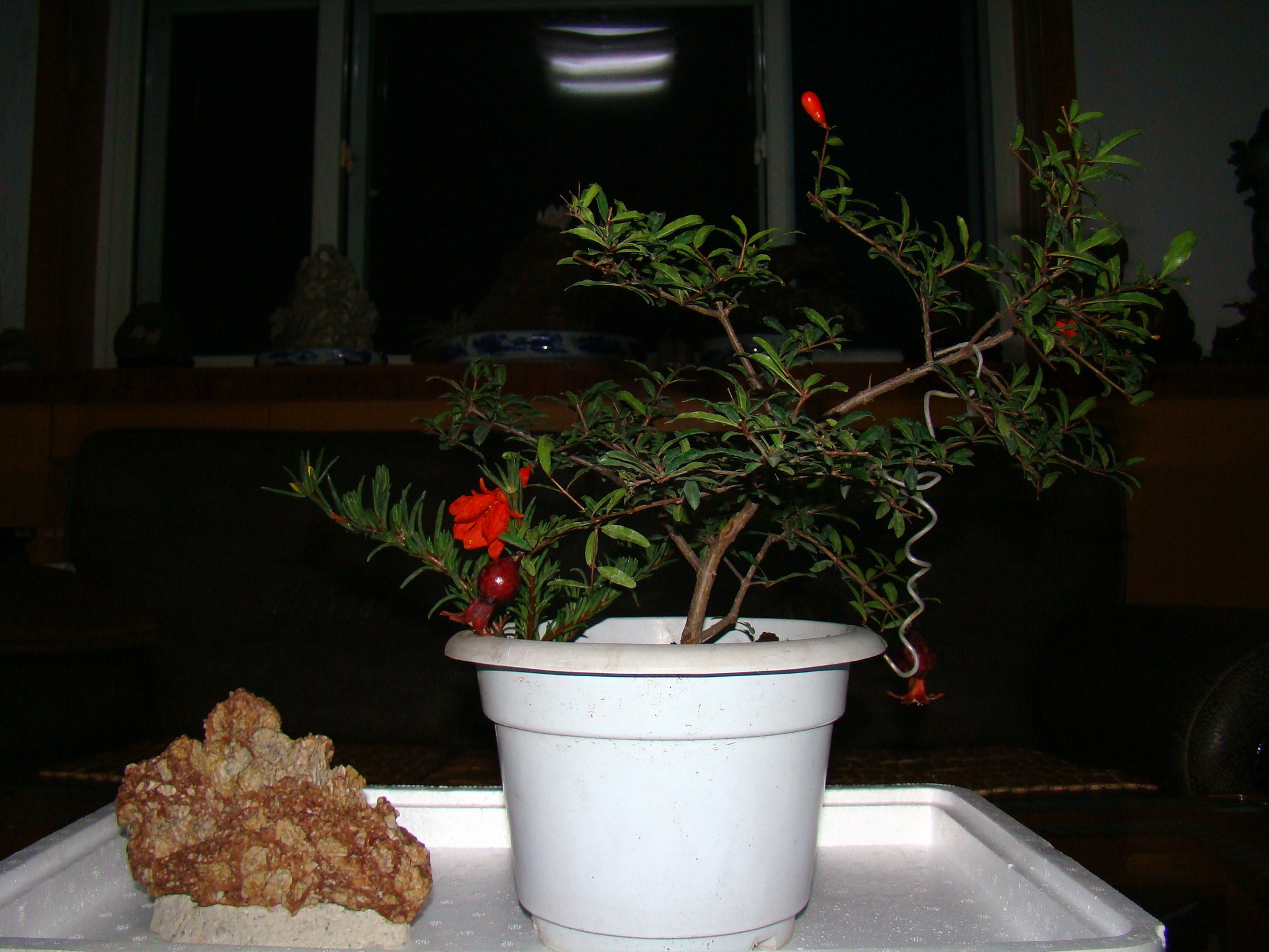 DSC09510.JPG
