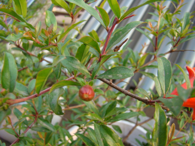 DSC09431.JPG
