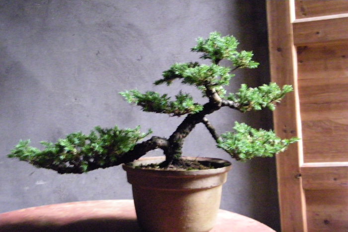 100_1819.jpg