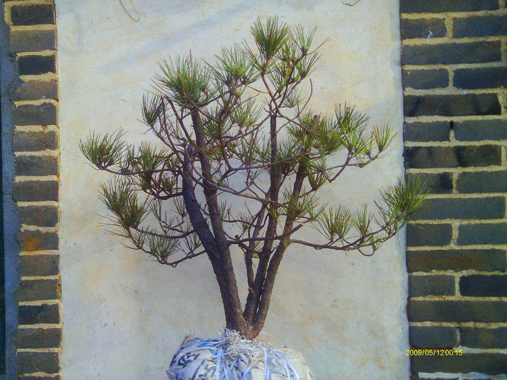 IMAG0007.JPG