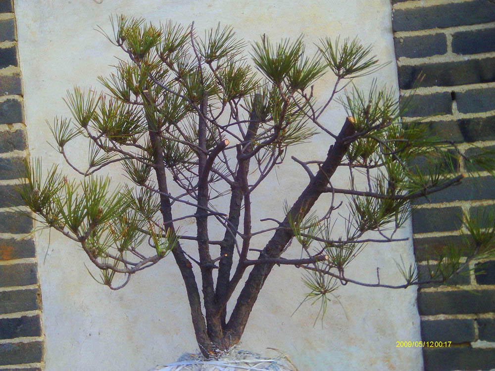 IMAG0010.JPG