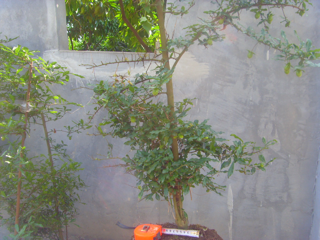 03.JPG