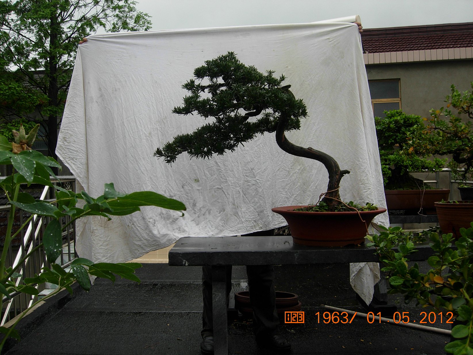 DSCN6067.JPG