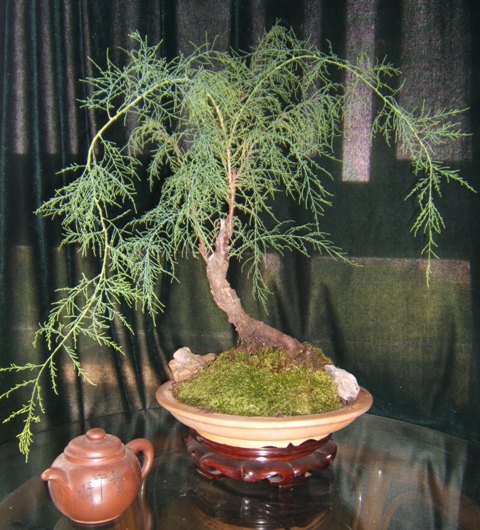 DSCF4126.JPG