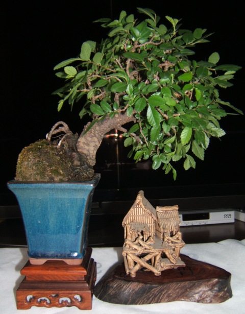DSCF4034.JPG