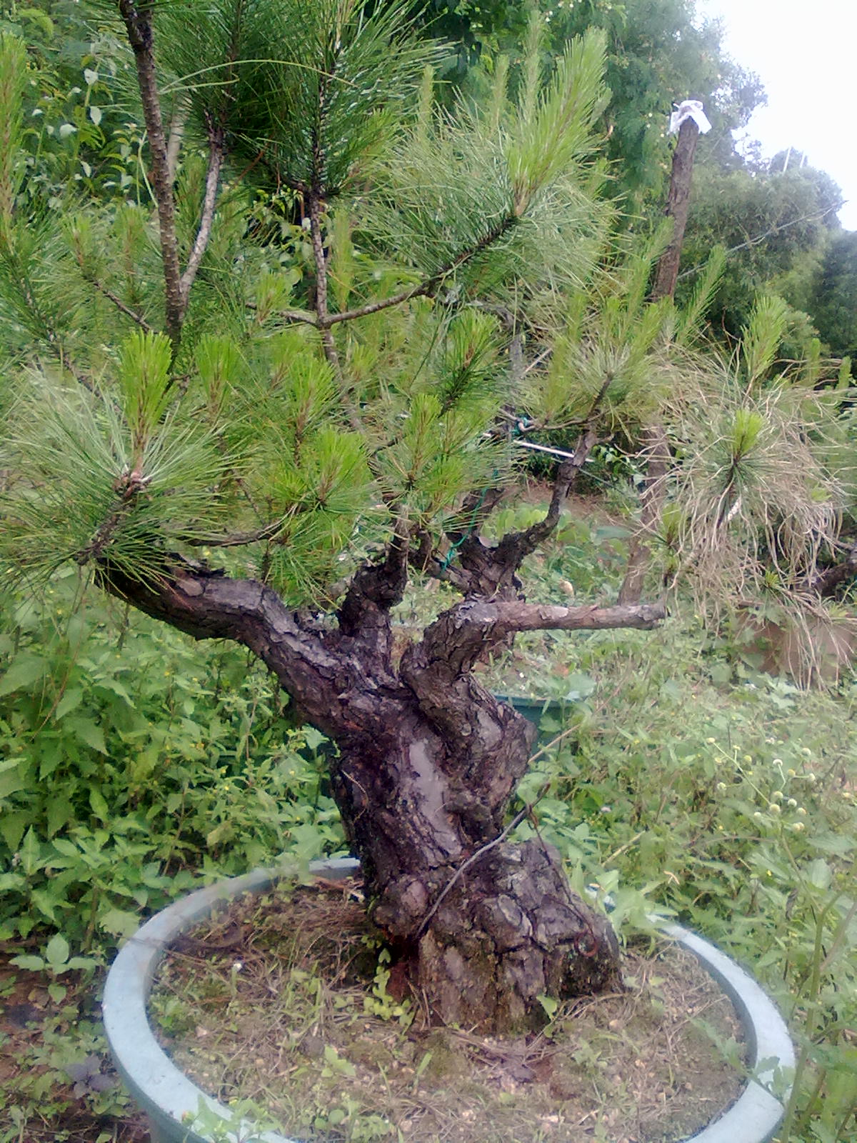20120429568.jpg