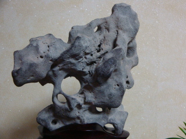 DSC09201.JPG
