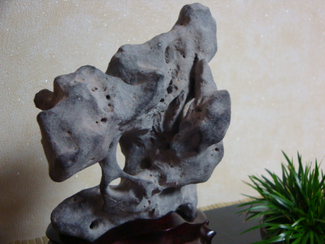 DSC09202.JPG