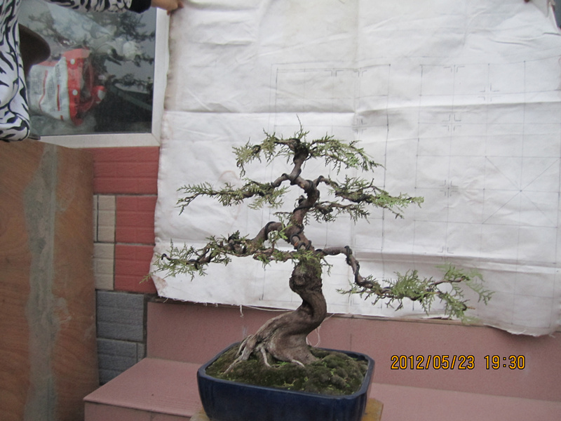 IMG_1688_.jpg