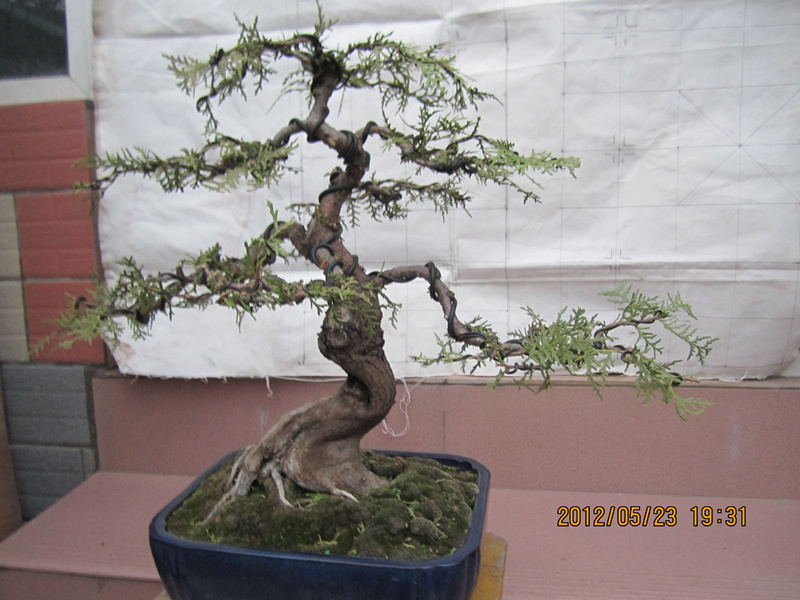 IMG_1689_.jpg