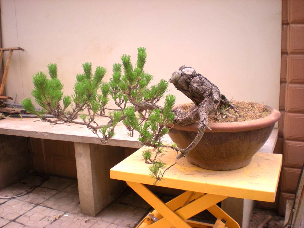 DSCN3961 .jpg