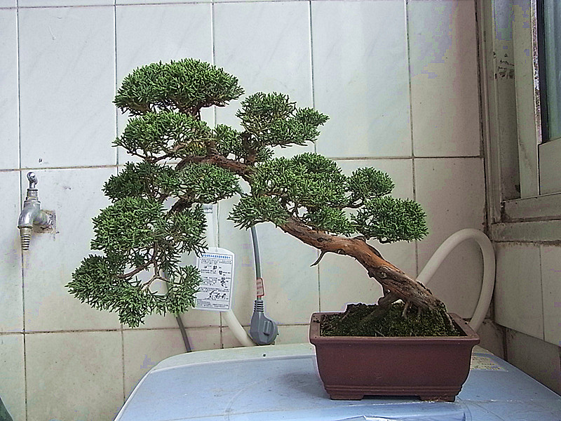 RIMG2727_.jpg
