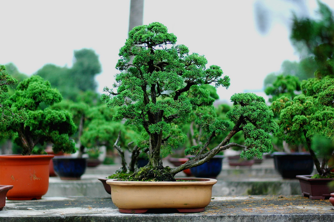DSC_4522__С.jpg