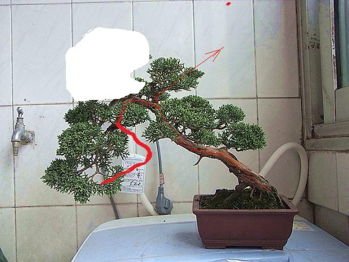 ̫أ м
