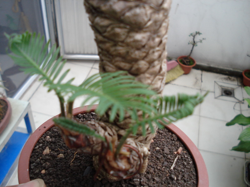 DSC01409.JPG