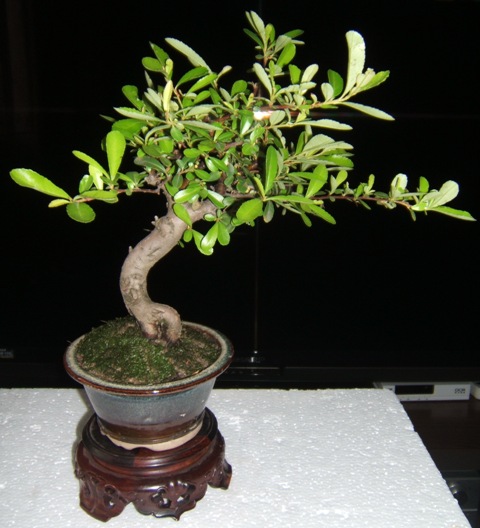 DSCF3993.JPG
