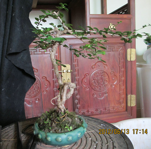 IMG_0603.JPG