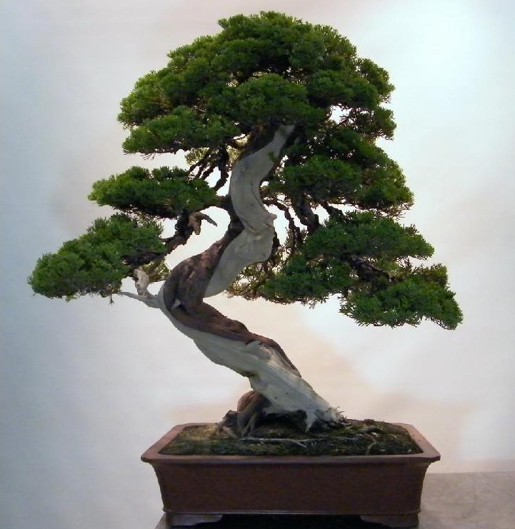 1316272736_XL.jpg