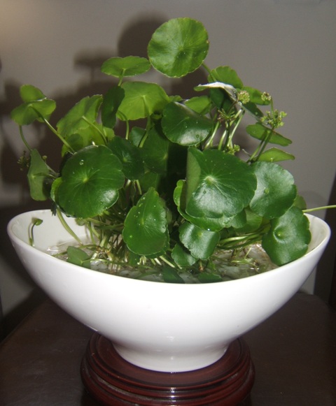 DSCF3674.JPG