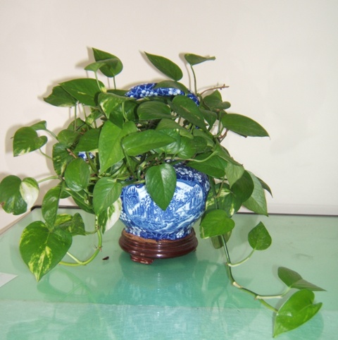 DSCF4079.JPG