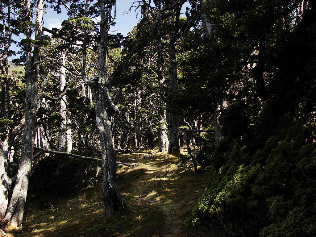 {81EA4C96-95AB-4E5A-98D1-7D735EC1DE1E}.JPG
