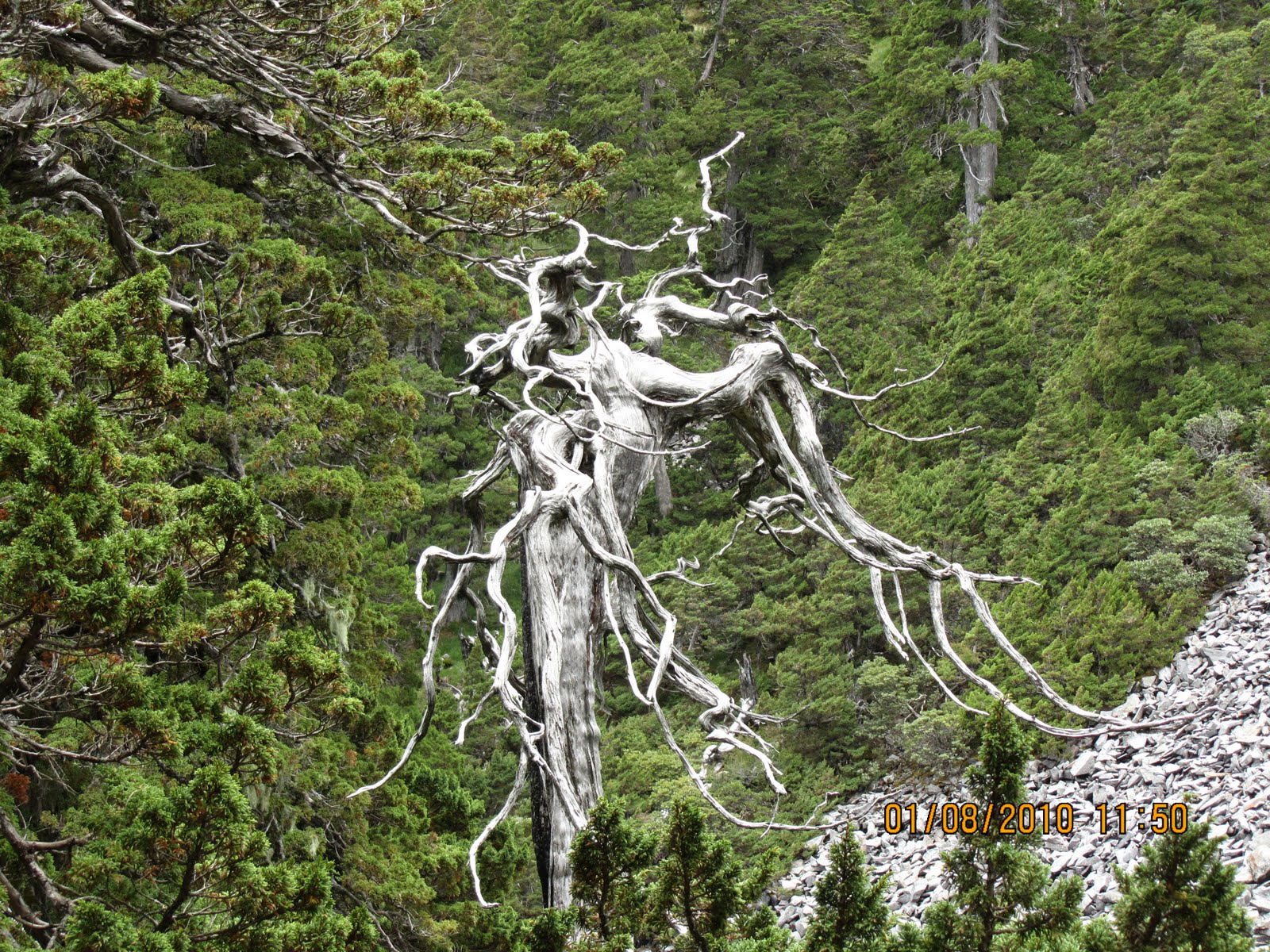 20100730_0802_458-1.jpg