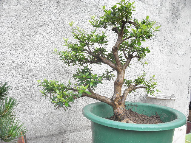 P6171852.JPG